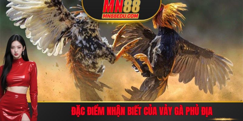 Đặc điểm nhận biết của vảy gà Phủ Địa