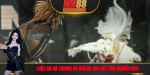 Luật Đá Gà Thomo MN88 - Tìm Hiểu Cách Chơi Chính Xác